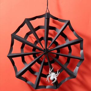 spider craft